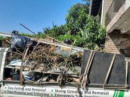 Best Shed Removal  in Chickamau, GA
